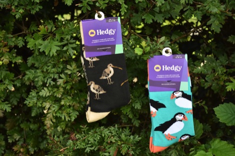 Hedgy socks